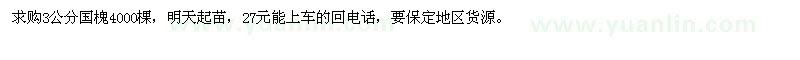 求購3公分國槐