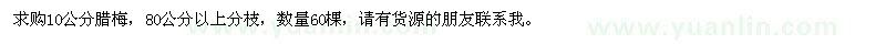 求購10公分臘梅