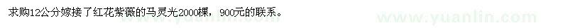 求購12公分馬靈光