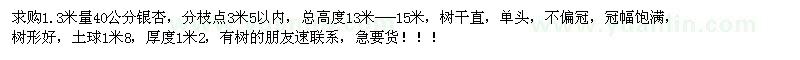 求購1.3米量40公分銀杏