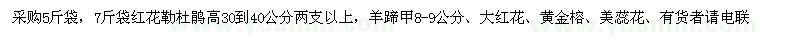 求購高30-40公分紅花勒杜鵑