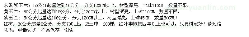 求購紫玉蘭、黃玉蘭、紅梅