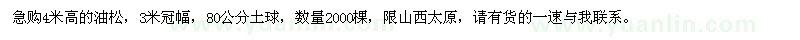求購(gòu)高4米油松