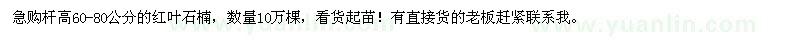 求購(gòu)桿高60-80公分紅葉石楠