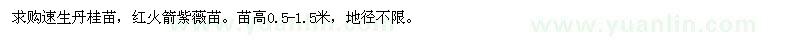 求購高0.5-1.5米速生丹桂、紅火箭紫薇