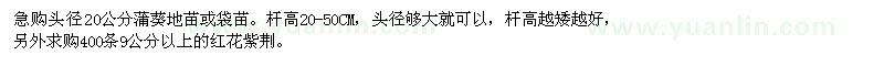 求購(gòu)頭徑20公分蒲葵、9公分以上紅花紫荊