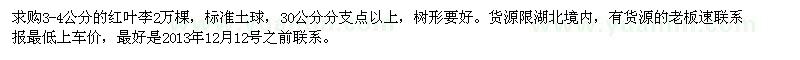 求購3-4公分紅葉李