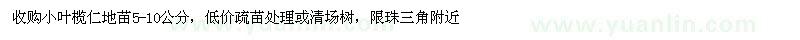 求購5-10公分小葉欖仁
