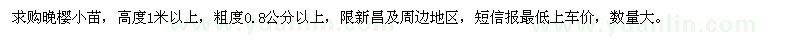 求購高1米以上晚櫻小苗