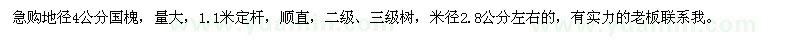 求購地徑4公分國槐