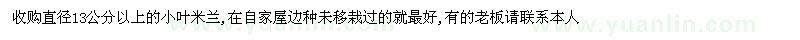 求購直徑13公分以上米蘭