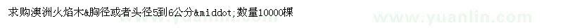求購澳洲火焰木
