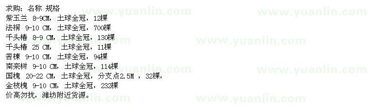 求購紫玉蘭、法桐、千頭椿等