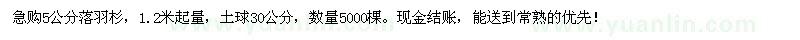 求購5公分落羽杉