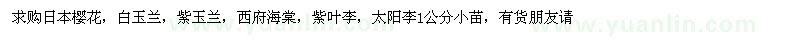 求購日本櫻花、白玉蘭、紫玉蘭