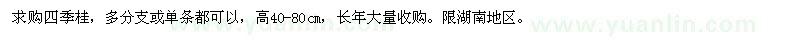 求購高40-80公分四季桂