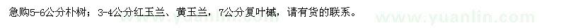 求購樸樹(shù)、紅玉蘭、黃玉蘭