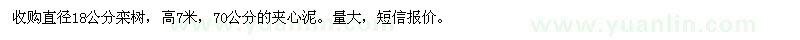 求購直徑18公分欒樹(shù)