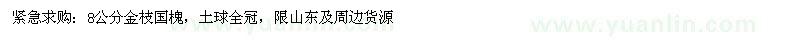 求購8公分金枝國槐