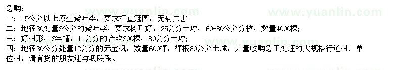求購紫葉李、合歡、元寶楓