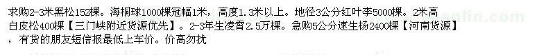 求購黑松、海桐球、紅葉李等