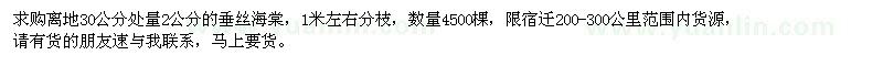 求購離地30公分處量2公分垂絲海棠