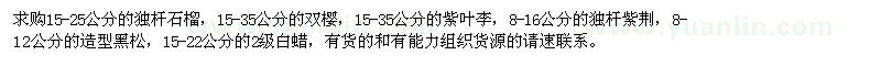 求購石榴、紫葉李、紫荊等