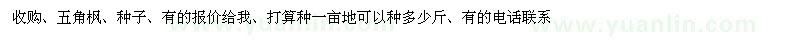 求購五角楓、種子
