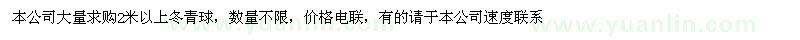 求購2米以上冬青球