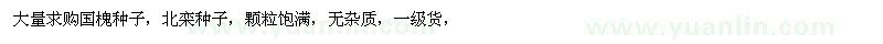 求購國槐種子