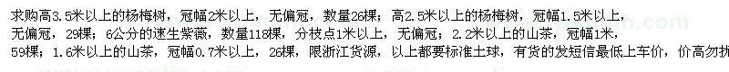 求購楊梅樹、速生紫薇、山茶