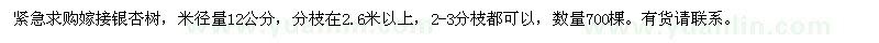 求購米徑12公分銀杏樹