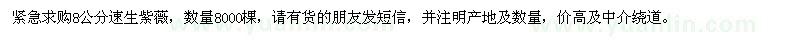 求購8公分速生紫薇