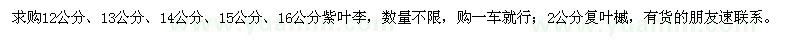 求購12-16公分紫葉李、2公分復(fù)葉槭