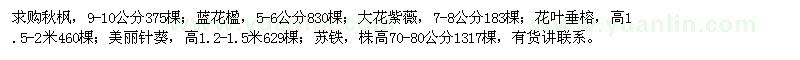 求購秋楓、藍花楹、大花紫薇等