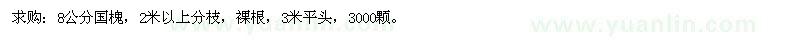 求購(gòu)國(guó)槐8公分國(guó)槐