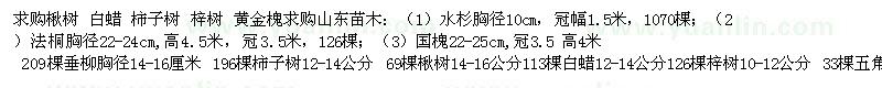 求購楸樹、白蠟、柿子樹等