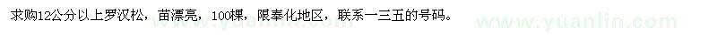 求購12公分以上羅漢松