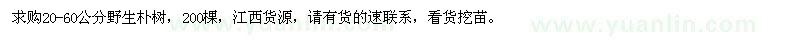 求購20-60公分野生樸樹