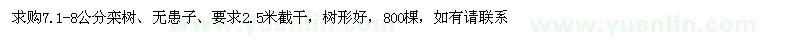 求購7.1-8公分欒樹、無患子