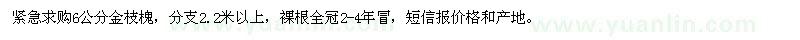 求購6公分金枝槐