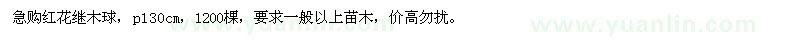 求購冠幅130公分紅花繼木球