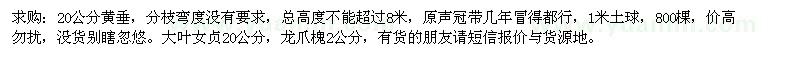求購黃垂、大葉女貞、龍爪槐
