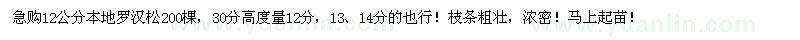 求購12公分羅漢松