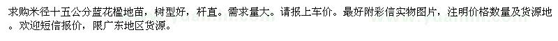 求購米徑15公分藍花楹