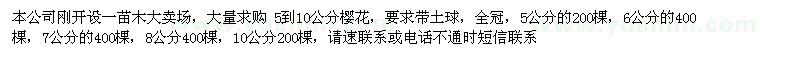求購5-10公分櫻花