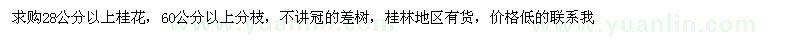 求購28公分以上桂花