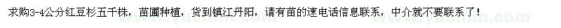 求購3-4公分紅豆杉