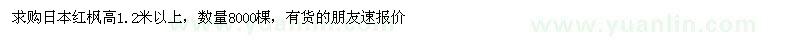 求購高1.2米以上日本紅楓