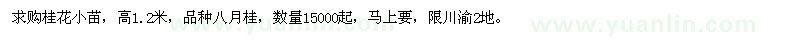 求購高1.2米桂花苗